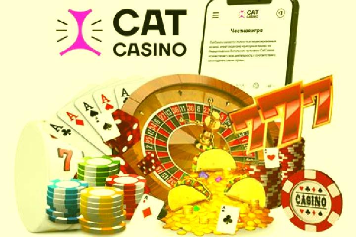 Cat Casino